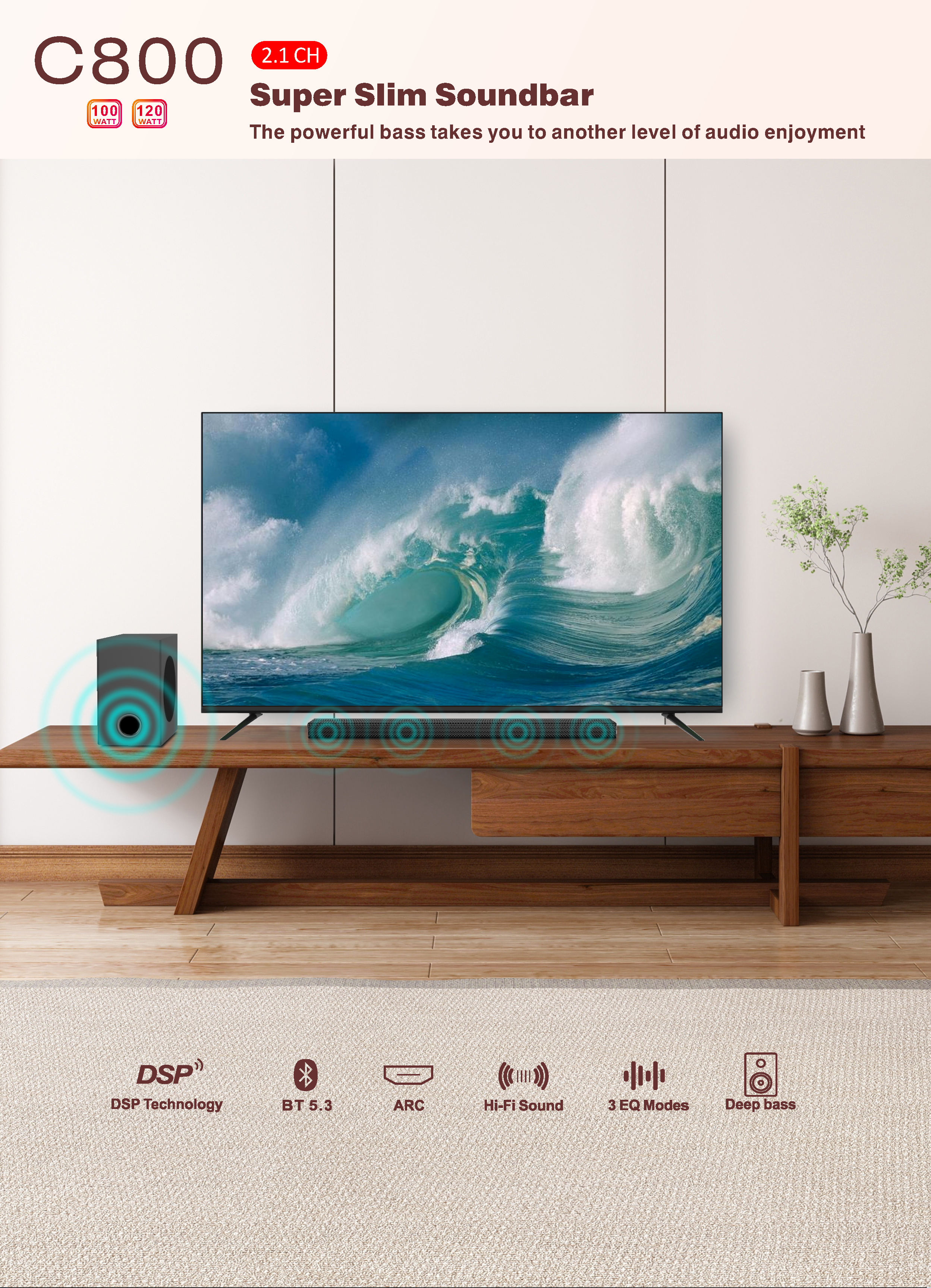 C800 Detail Page-1.png