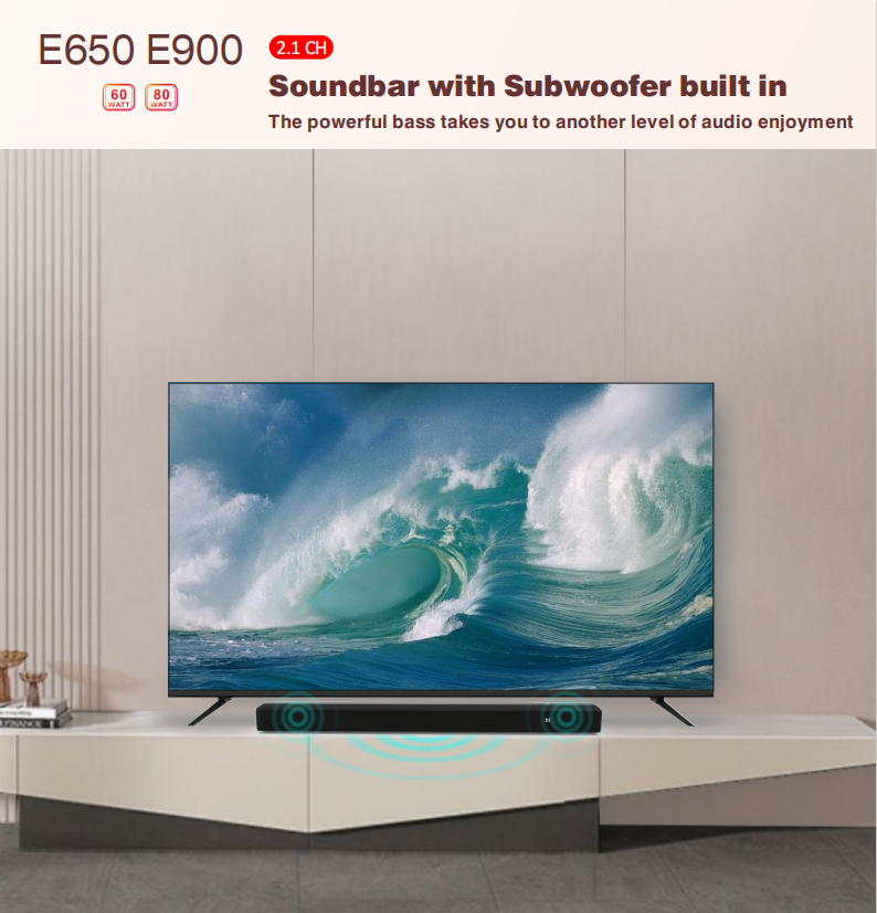 E650 E900 Detail Page 1-1.png